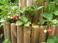 BILD6885.webp