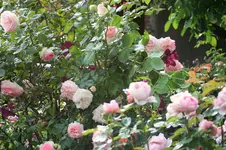 IMG_3164.webp