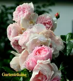 IMG_3165.webp