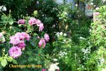IMG_3176.JPG