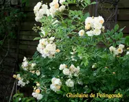IMG_3179.webp