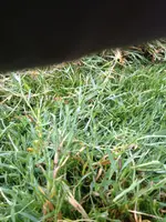 IMG_7903.webp