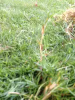 IMG_7904.webp