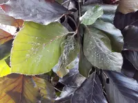 20170608_173847.webp