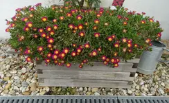 DSC08154.webp