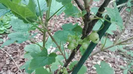 IMG_20170608_191904[1].webp