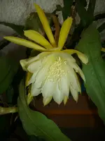 DSCI0273.webp