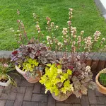 20170608_202021.webp
