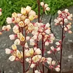 20170608_202138.webp