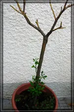 comp_DSC03258.webp
