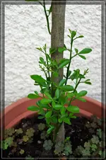 comp_DSC03255.webp