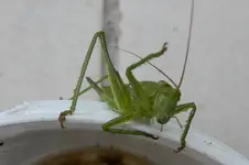 DSCN7863.webp