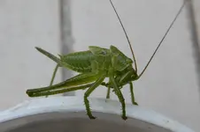 DSCN7872.webp