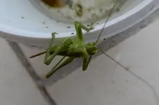 DSCN7888.webp