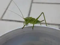 DSCN7892.webp