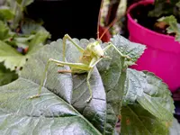 DSCN7905.webp