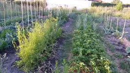 20170608_200354.webp
