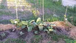 20170608_200410.webp