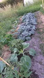 20170608_200536.webp