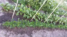 20170608_200546.webp