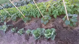 20170608_200556.webp