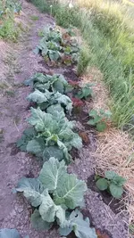 20170608_200646.webp