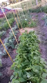 20170608_200652.webp