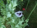 BILD6825.JPG