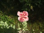 BILD6849.JPG