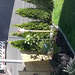 20170609_081932.webp