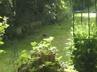 BILD6936.webp