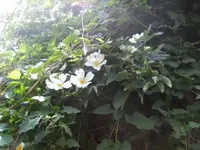 BILD6832.webp