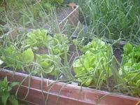 100_2304.webp