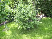100_2326.webp