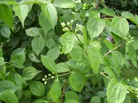 100_2327.jpg