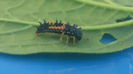 WhatsApp Image 2017-06-09 at 16.12.26.webp