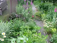IMG_5533.webp