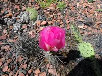 SAM_6562.webp