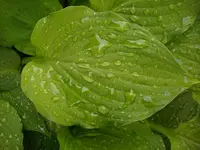 DSCI0283.jpg