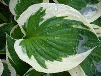 DSCI0284.jpg