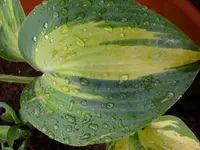 DSCI0290.webp