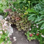 20170609_185953.webp
