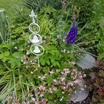 20170609_190038.webp