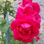 20170609_190354.webp