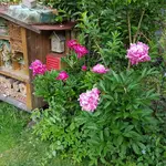 20170609_190417.webp
