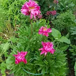 20170609_190248.webp