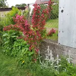20170609_190559.webp
