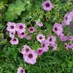 20170609_190906.webp