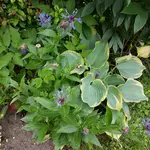 20170609_190954.webp