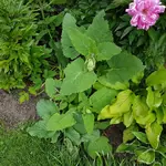 20170609_190211.webp